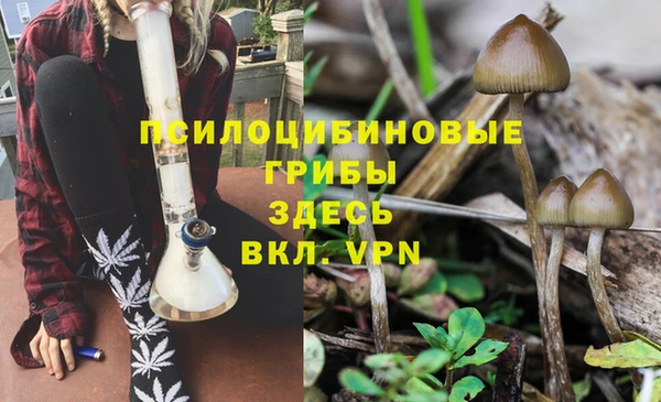 марки lsd Алексин